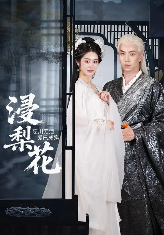 浸梨花（50集）傅汉源&戴琪萱海报