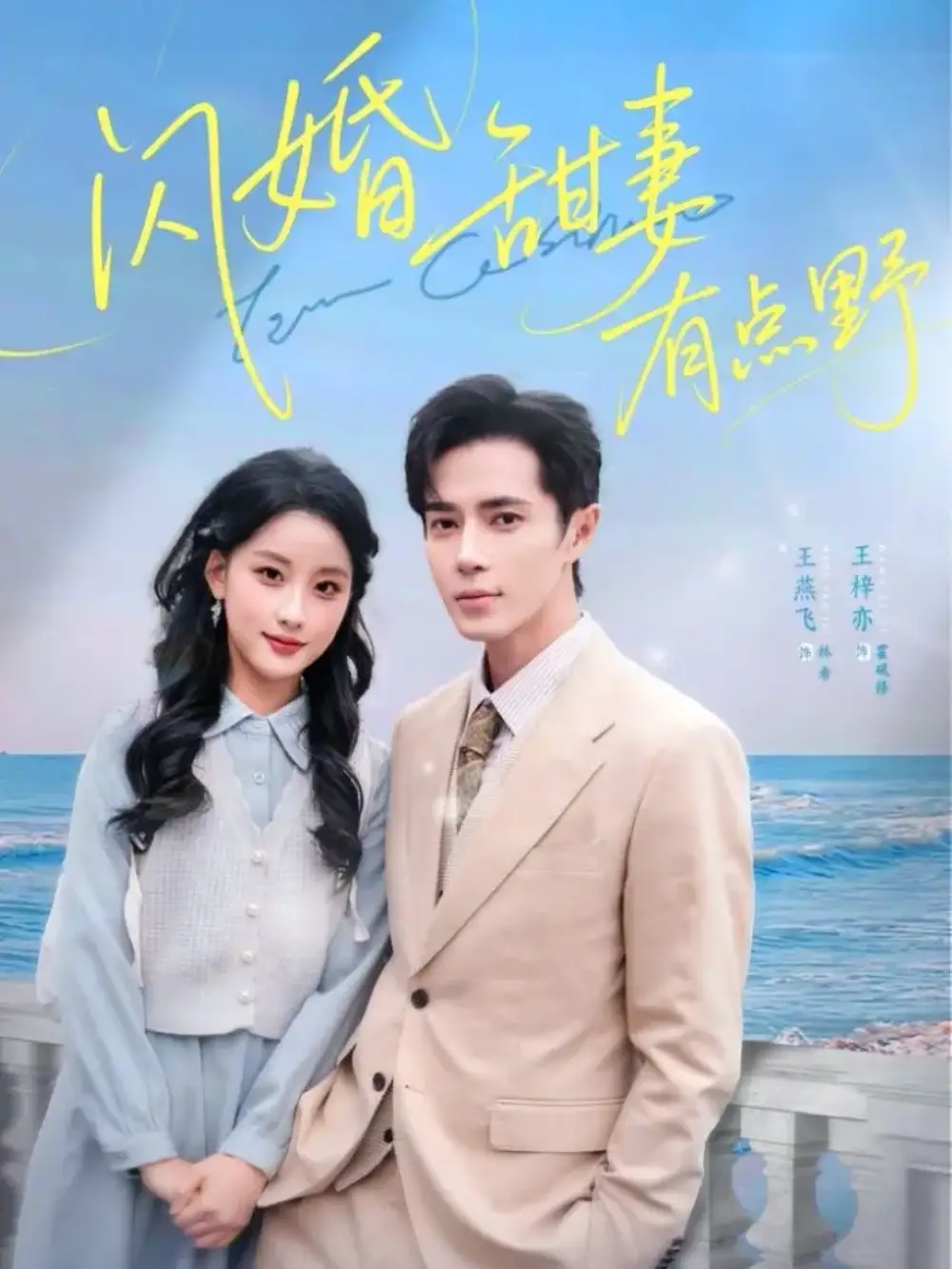 闪婚甜妻有点野（89集）王梓亦＆王燕飞海报