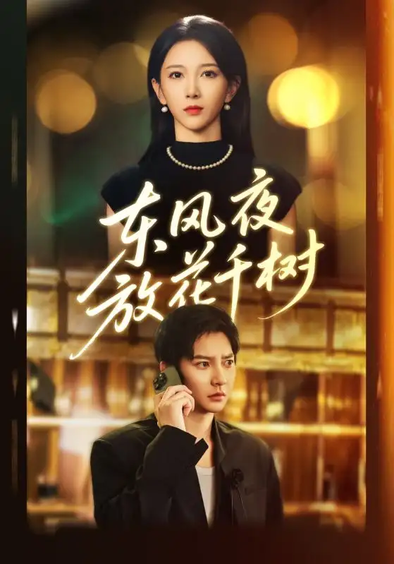 东风夜放花千树&燕西误尽瑶台月（91集）白羽&高明君海报